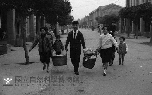 1950至2006年臺灣常民生活藏品圖，第1張