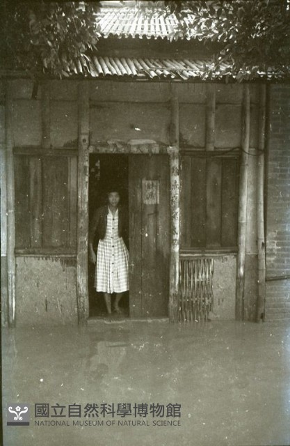 1950至2006年臺灣常民生活藏品圖，第1張