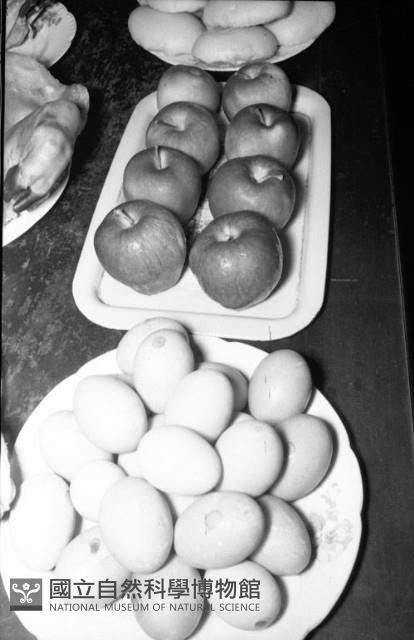 1950至2006年臺灣常民生活藏品圖，第1張