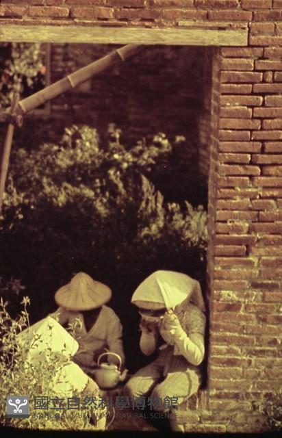 1950至2006年臺灣常民生活藏品圖，第1張