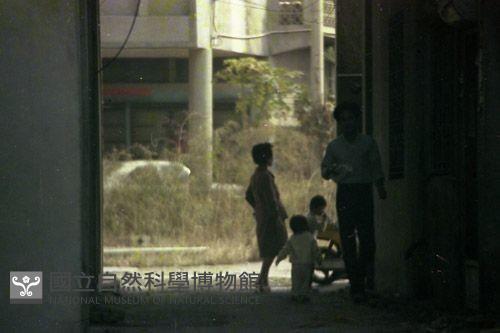 1950至2006年臺灣常民生活藏品圖，第1張