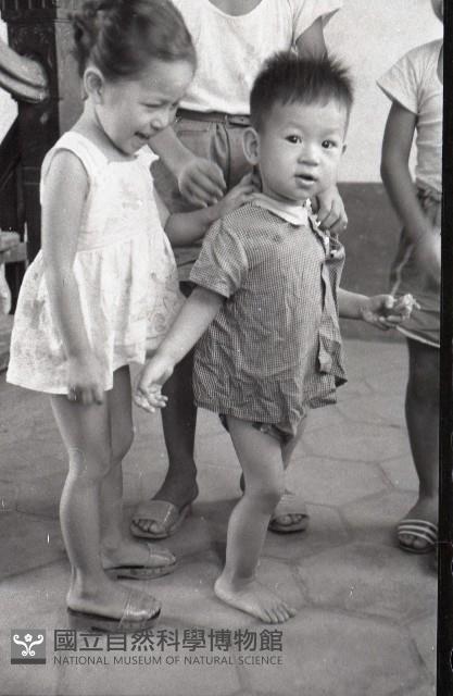 1950至2006年臺灣常民生活藏品圖，第1張