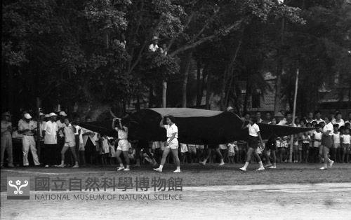 1950至2006年臺灣常民生活藏品圖，第1張