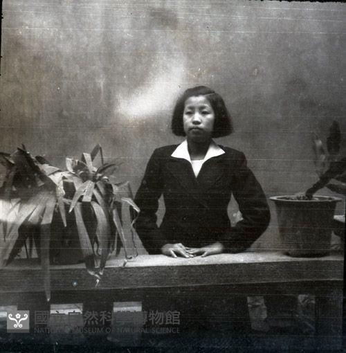 1950至2006年臺灣常民生活藏品圖，第1張