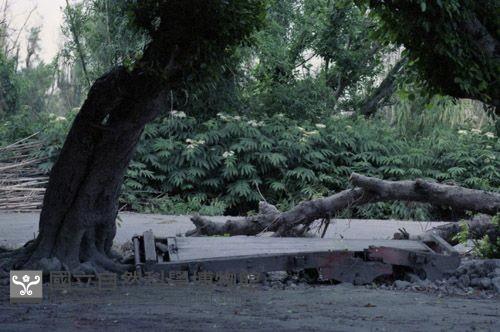 1950至2006年臺灣常民生活藏品圖，第1張