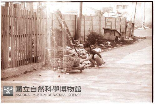 1950至2006年臺灣常民生活藏品圖，第1張