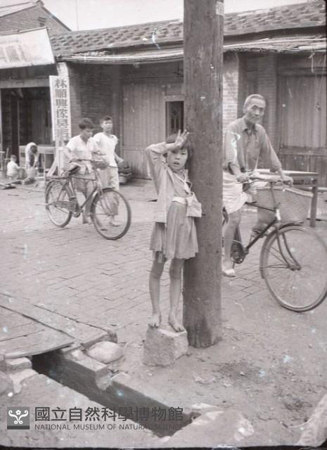 1950至2006年臺灣常民生活藏品圖，第1張