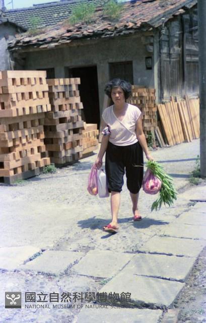 1950至2006年臺灣常民生活藏品圖，第1張
