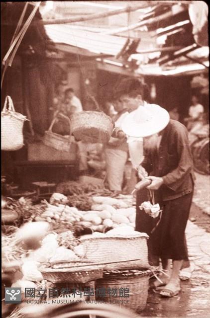 1950至2006年臺灣常民生活藏品圖，第1張