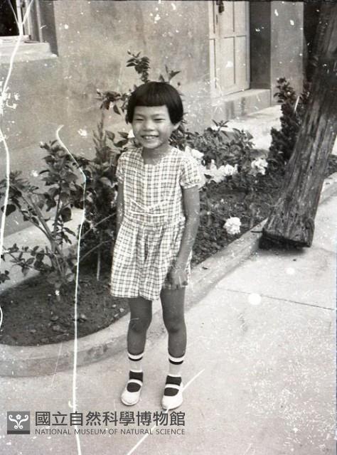 1950至2006年台灣常民生活藏品圖，第1張