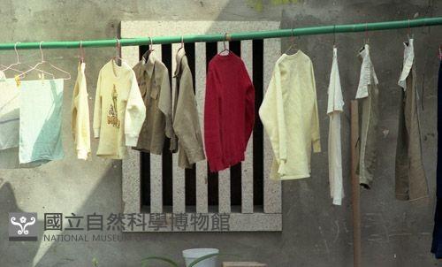 1950至2006年臺灣常民生活藏品圖，第1張