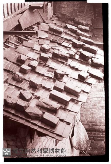 1950至2006年臺灣常民生活藏品圖，第1張