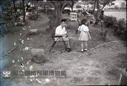 1950至2006年臺灣常民生活藏品圖，第1張