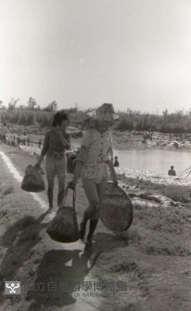 1950至2006年臺灣常民生活藏品圖，第1張