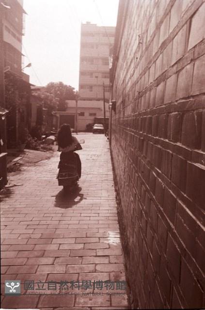 1950至2006年臺灣常民生活藏品圖，第1張