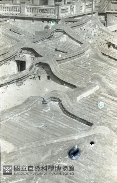 1950至2006年臺灣常民生活藏品圖，第1張