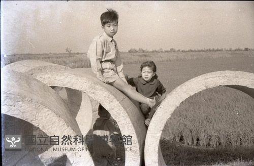 1950至2006年臺灣常民生活藏品圖，第1張