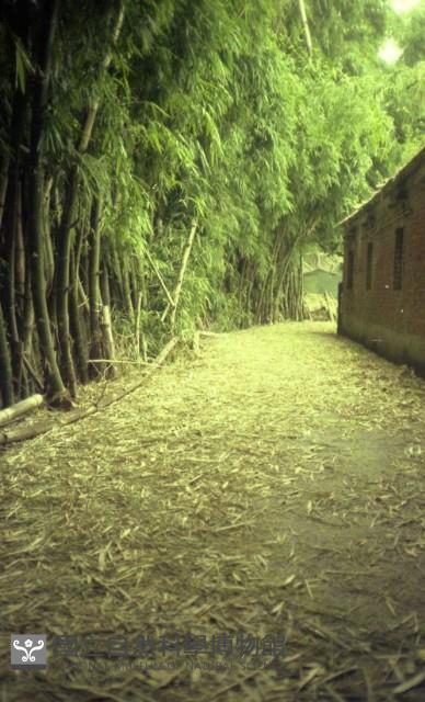 1950至2006年臺灣常民生活藏品圖，第1張