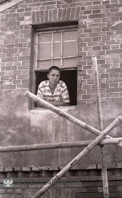 1950至2006年臺灣常民生活 藏品圖，第1張