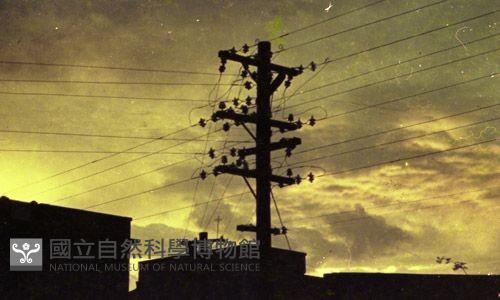 1950至2006年臺灣常民生活藏品圖，第1張