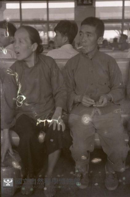 1950至2006年臺灣常民生活藏品圖，第1張