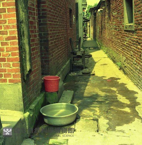 1950至2006年臺灣常民生活藏品圖，第1張
