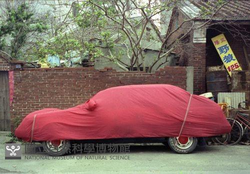 1950至2006年臺灣常民生活藏品圖，第1張