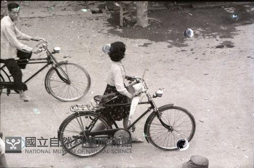 1950至2006年臺灣常民生活藏品圖，第1張