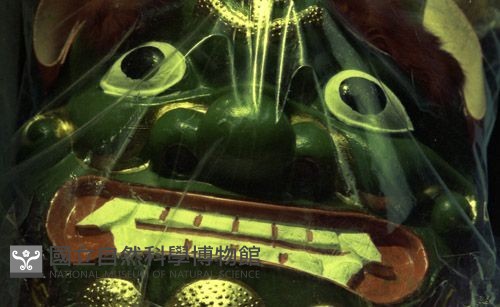 1950至2006年臺灣常民生活藏品圖，第1張