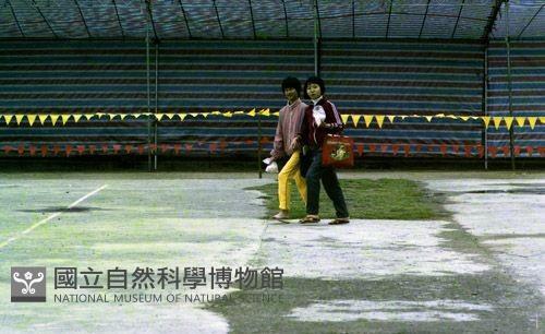 1950至2006年臺灣常民生活藏品圖，第1張