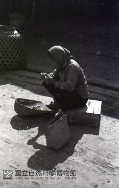 1950至2006年臺灣常民生活藏品圖，第1張