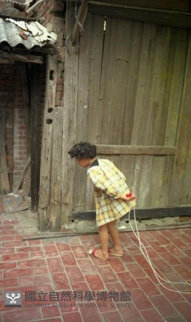 1950至2006年臺灣常民生活藏品圖，第1張