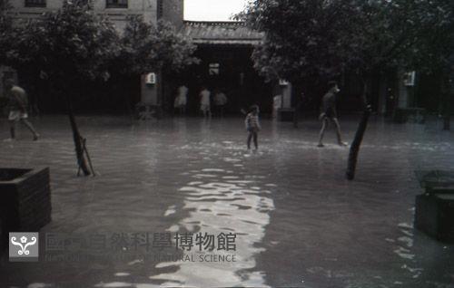 1950至2006年臺灣常民生活藏品圖，第1張