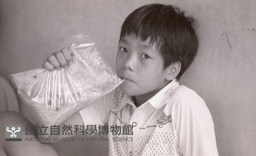 1950至2006年臺灣常民生活藏品圖，第1張