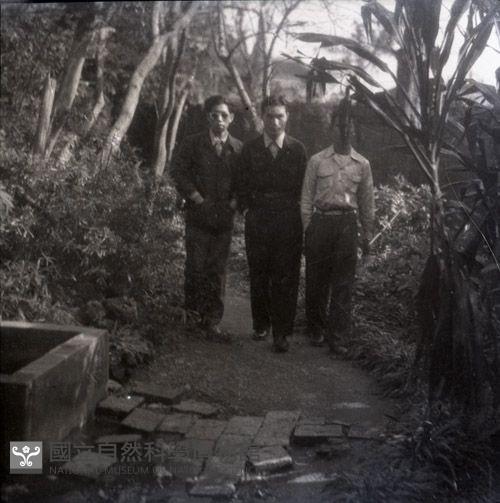 1950至2006年臺灣常民生活藏品圖，第1張