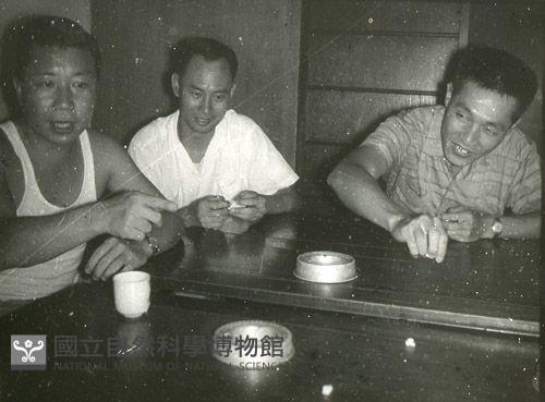 1950至2006年台灣常民生活藏品圖，第1張