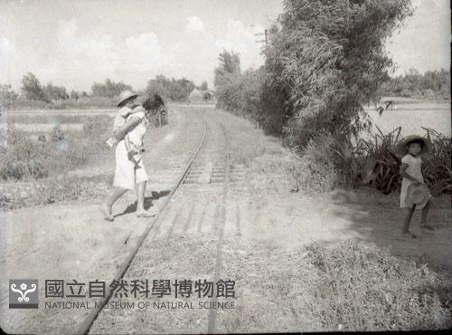 1950至2006年臺灣常民生活藏品圖，第1張