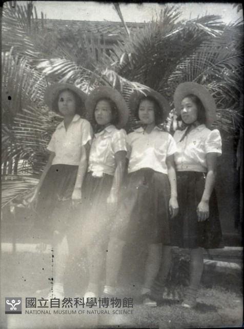 1950至2006年臺灣常民生活藏品圖，第1張