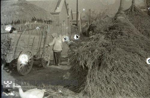 1950至2006年臺灣常民生活藏品圖，第1張