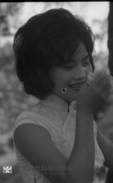 1950至2006年臺灣常民生活藏品圖，第1張