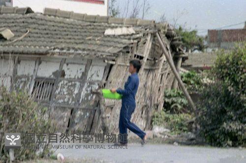 1950至2006年臺灣常民生活藏品圖，第1張