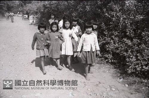 1950至2006年台灣常民生活藏品圖，第1張