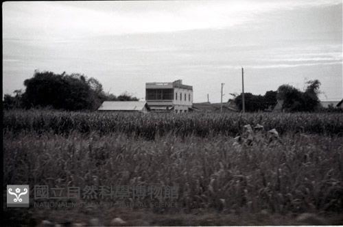 1950至2006年臺灣常民生活藏品圖，第1張