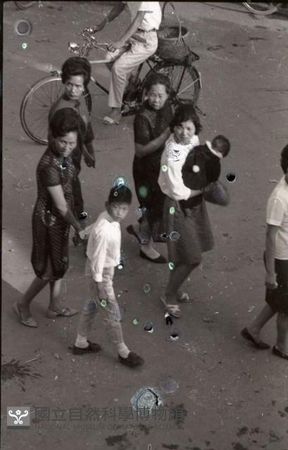 1950至2006年臺灣常民生活藏品圖，第1張