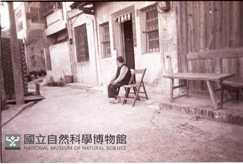 1950至2006年臺灣常民生活藏品圖，第1張