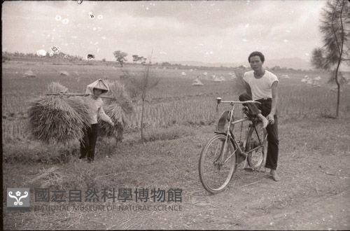 1950至2006年臺灣常民生活藏品圖，第1張