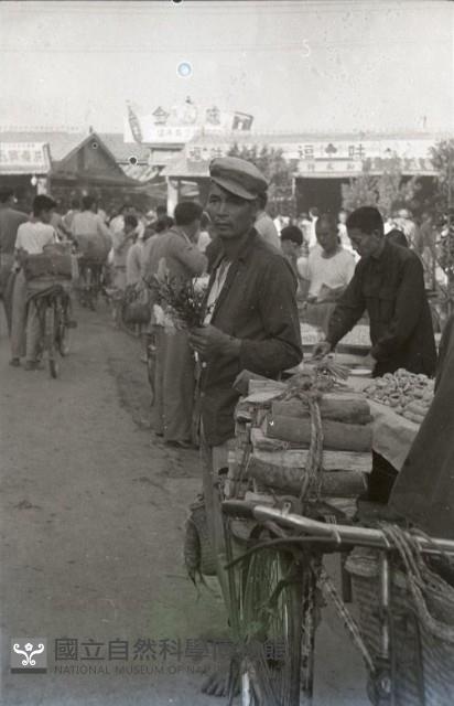 1950至2006年臺灣常民生活藏品圖，第1張