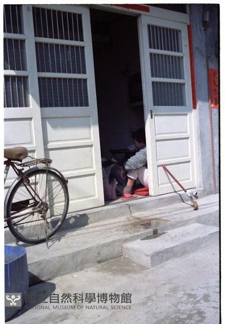 1950至2006年臺灣常民生活藏品圖，第1張