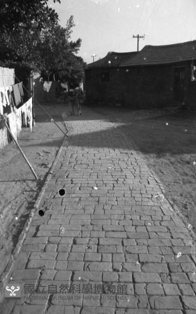 1950至2006年臺灣常民生活藏品圖，第1張