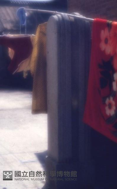 1950至2006年臺灣常民生活藏品圖，第1張